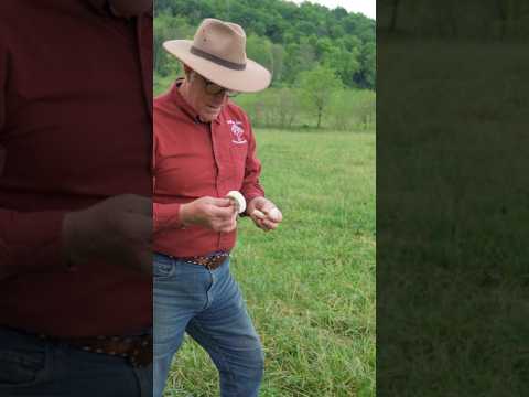 Joel Salatin on how mushrooms indicate healthy biology in your pastures. #regenerativefarming #farm