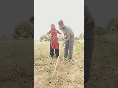 अब जोर आव निनाण करता ।। #viralreels #trending #comedy #farming