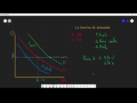 Microéconomie : La demande (partie 2)