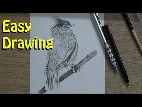 bird  drawing | easy to draw