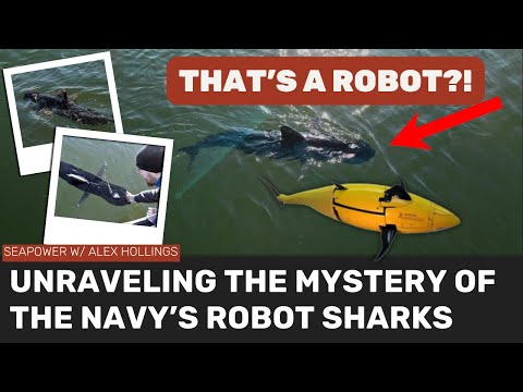 Does the US Navy have ROBOT SHARKS prowling the ocean?