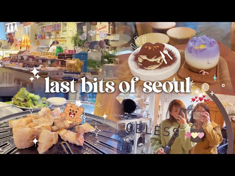 🇰🇷 [中字 ENG] 首爾 seoul vlog 🐰 Dosan Bunsik 🥪 Myeongnyundang Ginkgo Foliage 🍁🍂 authentic local food 🥩🍖