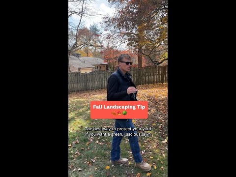 It's raking season 🍂  #landscaping #protip #fall #lawncare