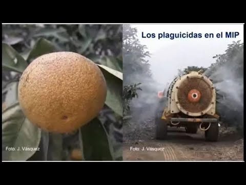 Some advances in the study of pesticides.