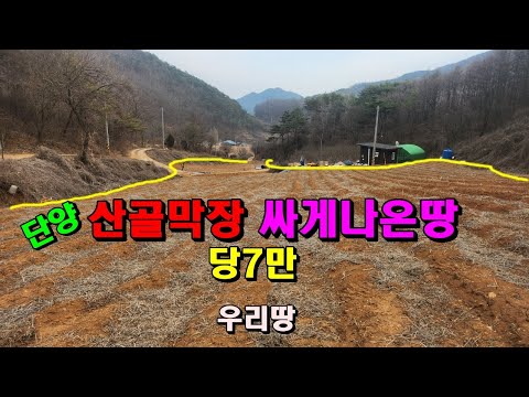 매매완료 단양산골막장 마을끝 남향의 양지바른 싸게나온땅/1196평/평당7만/과수원으로도좋아요/단양부동산매매/단양토지매매