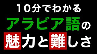 アラビア語ってどんな言語なの？【世界の言語 001】