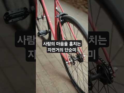 단순하지만 강한 자전거의 힘 – 스튜어트 파커 #자전거의힘 #자전거명언 #자전거세상