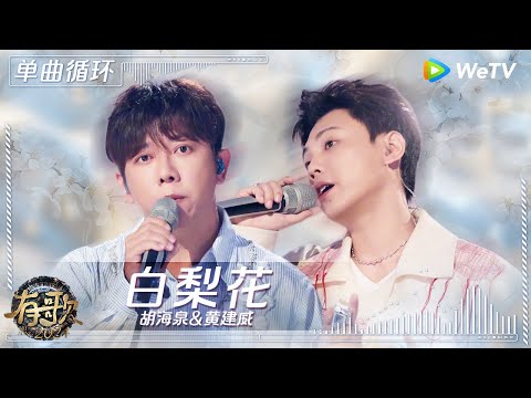 【1小时单曲循环】胡海泉&黄建威《白梨花》| #有歌2024 EP11 #hitsong2024 | WeTV综艺音乐