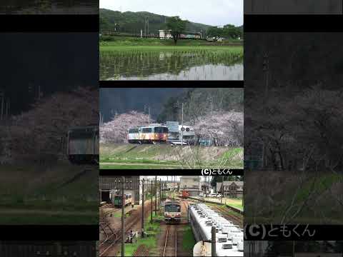 樽見鉄道を走る　長良川鉄道ナガラ10　その６