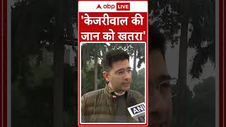 Delhi Elections 2025: 'केजरीवाल की जान को खतरा'- Raghav Chadha #abpnewsshorts