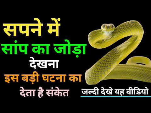 Sapne me saap ka joda dekhne ka matlab | Two snake in dream meaning | Snake pair in dream |