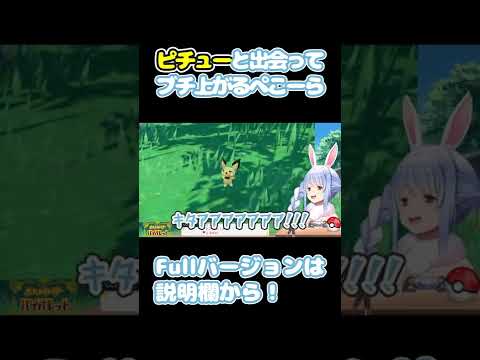 【ポケモンSV】ピチューと出会ってテンションブチ上げなぺこーら【ホロライブ/切り抜き/兎田ぺこら】 #shorts