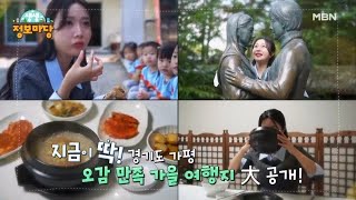 생생 정보마당 [1654회] MBN 241022 방송