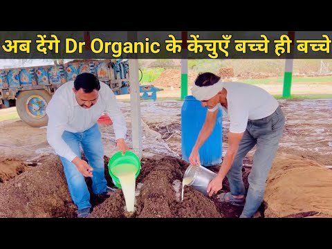 अब देंगे Dr Organic के केंचुएँ बच्चे ही बच्चे। आप भी देखो केंचुएँ का पोषण