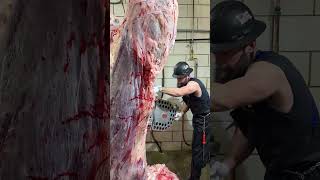 Splitting a Beef! 🔪🥩 #shorts #shortvideo #viralvideo #trending #butcher