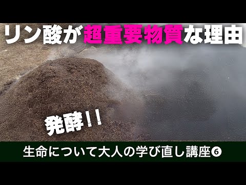 発酵とは何であるかがよく分かる【発酵/代謝】0から中高の生物学・化学シリーズ⑥