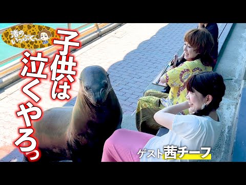 会いたかったよおとどちゃん！久しぶりの高知県を満喫しゆうがきよ！