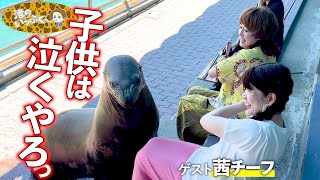 会いたかったよおとどちゃん！久しぶりの高知県を満喫しゆうがきよ！