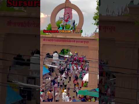 Sursura dham ❣️🚩👏 #shortsfeed #tejajimaharaj #youtubeshorts #sursaura#dham #viralvideo