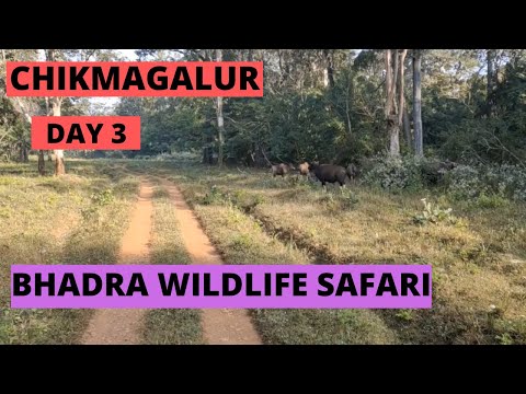 Bhadra Wildlife Sanctuary | Muthodi| Chikmagalur Tourist Places | Bhadra Wildlife Sanctuary Safari