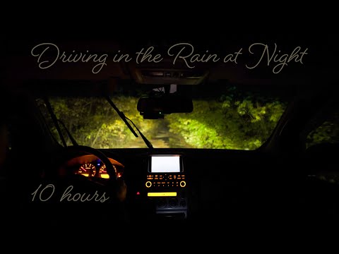 🎧 Relaxing Sounds of Light Rain Falling on the Car while Driving Through The Forest at Night