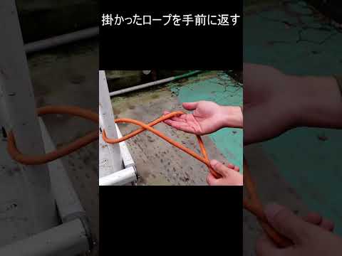 ロープを簡単に結ぶ方法【グラスループGrass loop】ショート編　 #キャンプ #ロープワーク  #結び方