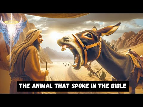 The Talking Donkey: The Incredible Bible Story That Will Leave You Jaw-Dropping!"