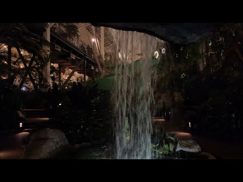 The Backside of Water - With A Bench! - Gaylord Opryland - Nashville, TN