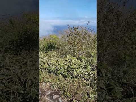 【山頂シリーズ】岡山県　泉山