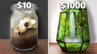 $10 vs $1,000 Terrarium Ecosystem!