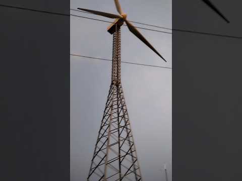 wind mill #shorts #nature