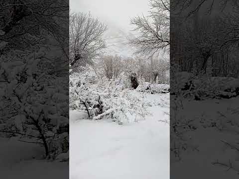 My Village First Snow Of The Season #music #rain