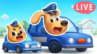 🔴LIVE | Kids' Driving Center | Street Vehicles | Safety Rules | Sheriff Labrador | BabyBus