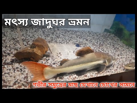 গভীর সমুদ্রের মাছ যেখানে চোখের সামনে | FISH MUSEUM VISIT | Episode : 09 | #fishing