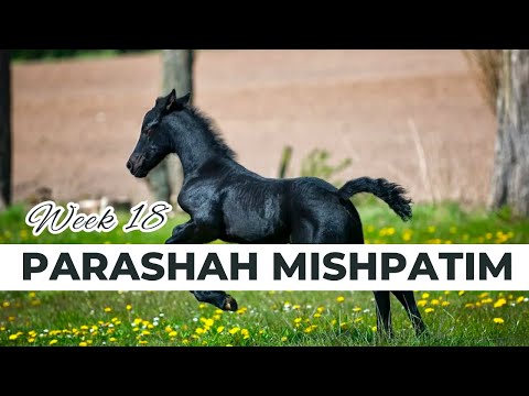 MISHPATIM Week 18