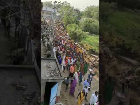 Pochamma Bonalu #shorts