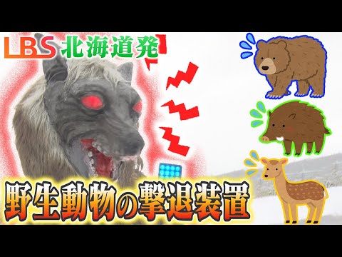 オオカミの鳴き声で野生動物を撃退　赤外線センサーで動物を感知　音声とLEDライトで威嚇【LBS北海道発】