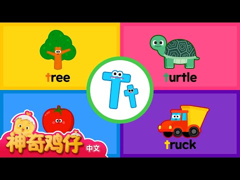 自然拼讀法 T! M~T | 神奇鸡仔与英语 | 卡通動畫 | Como Kids TV