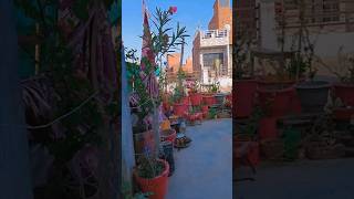 Kabad se jugad #viralshort #kabadsejugad #needsubscriber #gardening #bestoutofwaste #song #diy