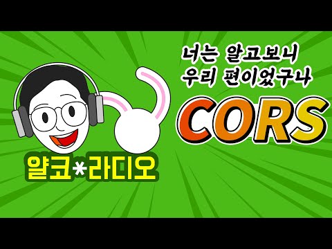 웹개발 짜증유발자! CORS가 뭔가요?