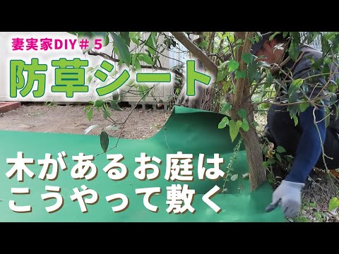 【庭DIY 庭作り】防草シートをDIYで施工。雑草対策しました。お庭手入れの方法。木・切り株・排水口、お庭に色々あるので障害物を避けるコツ［防草シートのコツ］［garden answer］