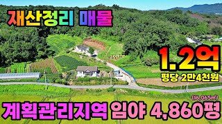 (NO.8391) #재산정리매물 #계획관리지역 남향받이 임야 4,860평 (16,065㎡) 매매