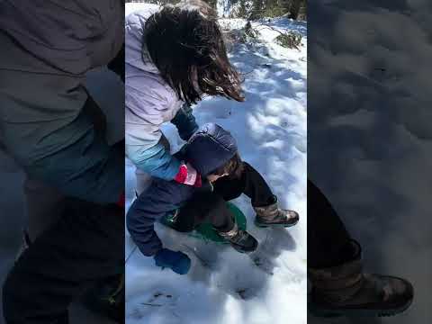 Nate and Nessa go to the snow and try to sled: Part 1 #kidsshortsvideos #shorts