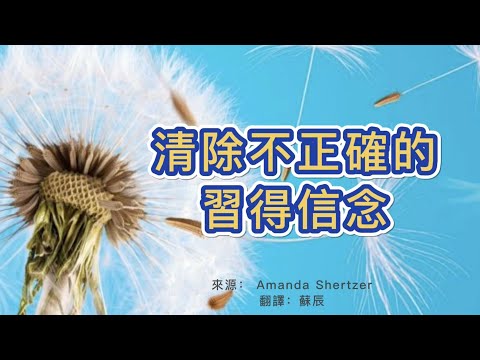 【通靈傳訊】清除不正確的習得信念