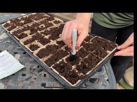 The 2024 Gardening Season has BEGUN! How to start seeds under lights and winter sowing!