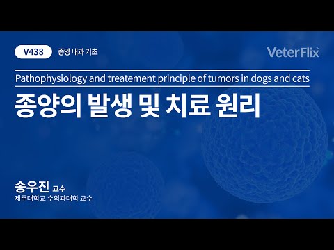 [베터플릭스][종양 내과 기초]종양의 발생 및 치료 원리(Pathophysiology and treatement principle of tumors in dogs and cats)