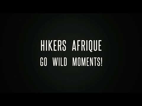 Go Wild Moments ... No monkey business! 🐒🐵 |Hikers Afrique