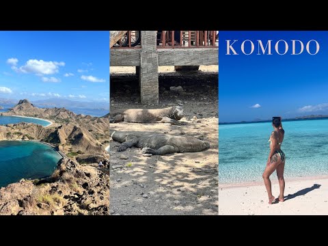 PRIVATE BOAT TO KOMODO ISLAND! Seeing Wild Komodo Dragons, Bali Pink Beach and Snorkeling!