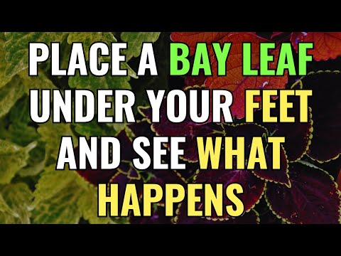 Place a bay leaf under your feet and see what happens | Awakening | Spirituality | Chosen Ones