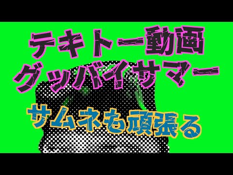 テキトー動画 グッバイサマー  SPACE DJ ASIAのYouTube23